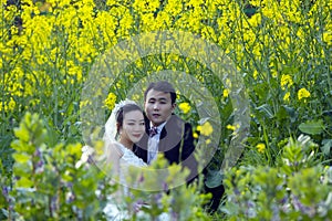 Chinese couple wedding portraint in cole flower field