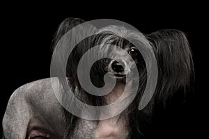 Chinese Crested Dog on a black background