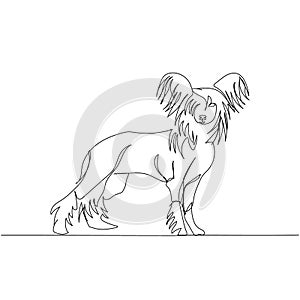 Chinese Crested Dog, companion dog, decorative dog breed one line art. Continuous line drawing of friend, dog, doggy