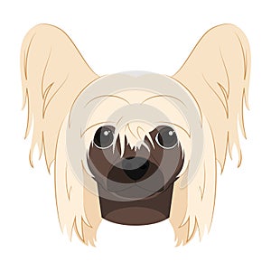 Chinese Crested Dog isolated on white background vector illustration