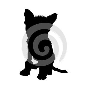 Chinese Crested Dog Silhouette