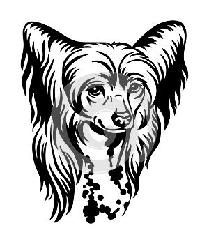 Chinese Crested dog vector black contour portrait