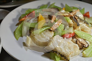 Chinese cuisine cuttlefish fish fillet celery