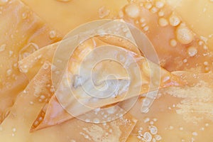 Chinese cuisine deep fried wonton