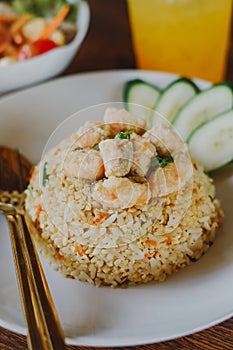 Salmon fish and egg fried rice