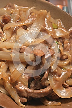 Chinese cuisine Sauted beef fillet onion photo