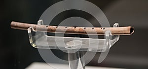 chinese cultural relics jiahu bone flute photo