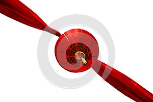 Chinese decoration - Isolated