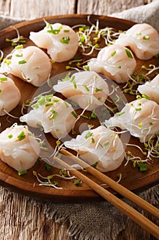 Chinese dim sum dumplings with seafood served with microgreen close-up on a plate. vertical