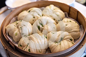Chinese Dim Sum Steamed Scallion Spring Onion Bun Rolls