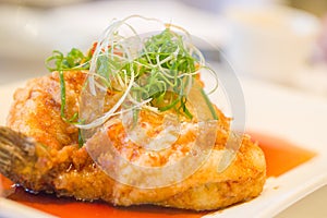 Chinese dish : fried garrupa