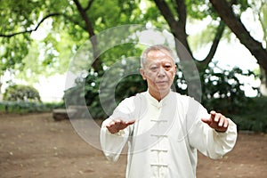 Chinese do taichi outside photo