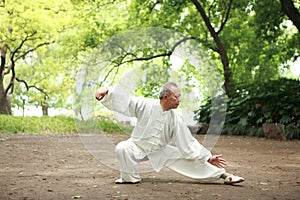 Chinese do taichi outside photo