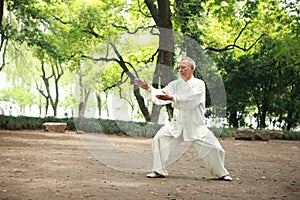 Chinese do taichi outside photo