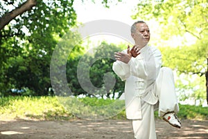 Chinese do taichi outside