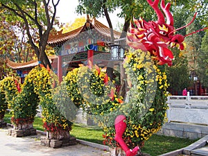 Chinese dragon