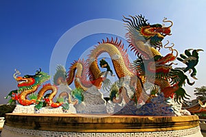 Chinese dragon