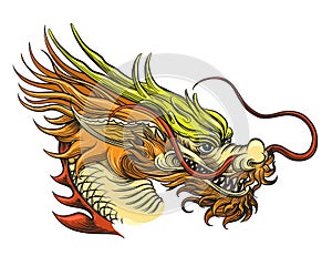 Chinese Dragon Head photo