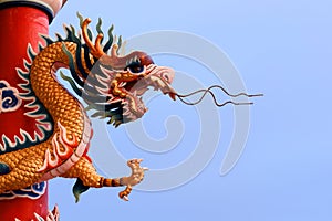 Chinese dragon image