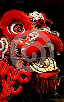 Chinese Dragon at New Year Celebration