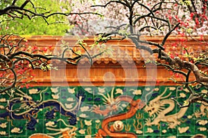 Chinese dragon pattern in garden