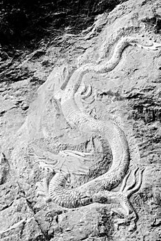 Chinese dragon on the rock