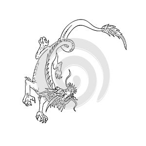 Chinese Dragon Stalking Drawing