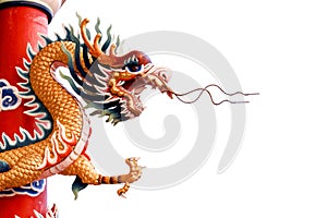 Chinese dragon on white background