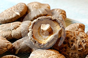 Chinese dried mushrooms photo