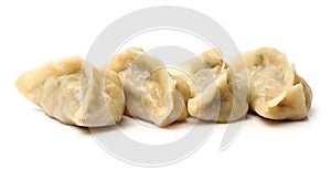 Chinese Dumpling photo