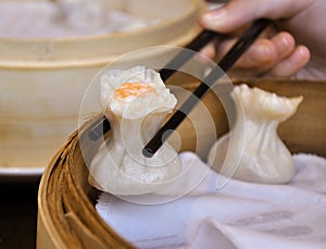 Chinese dumpling Shumai with shrimp