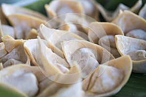 Chinese dumpling stuffed minced pork.