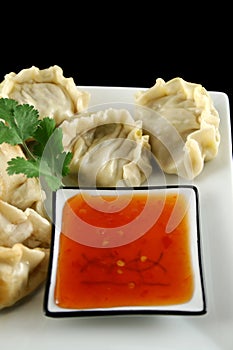 Chinese Dumplings 2