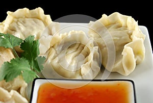 Chinese Dumplings 4