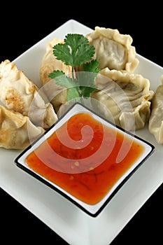 Chinese Dumplings 6