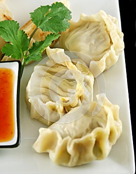 Chinese Dumplings 7