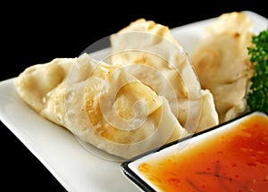 Chinese Dumplings