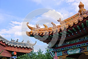 Chinese eave