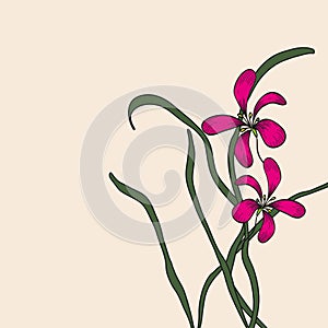 Chinese element drawing orchid