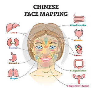 Chinese face mapping as alternative medicine health diagnosis outline diagram