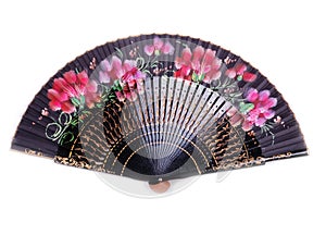 Chinese fan