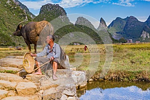 Chinese farmer with water buffalo, China.
