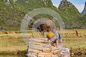 Chinese farmer with water buffalo, China.