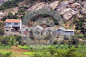 Chinese Farmhouse