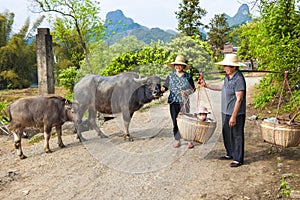 Chinese farmwomen with buffaloes and baby in basket in karst scenery near Li-River.