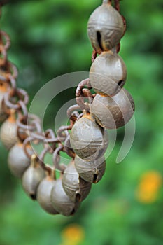 Chinese feng shui bells