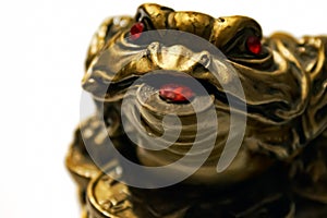 Chinese Feng Shui Frog with coin, a symbol of money