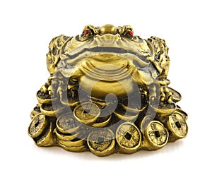 Chinese Feng Shui lucky money frog for good luck