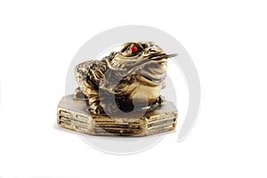 Chinese Feng Shui Money Frog-symbol of wealth