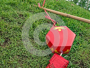 Chinese Firecracker on the Green meadow